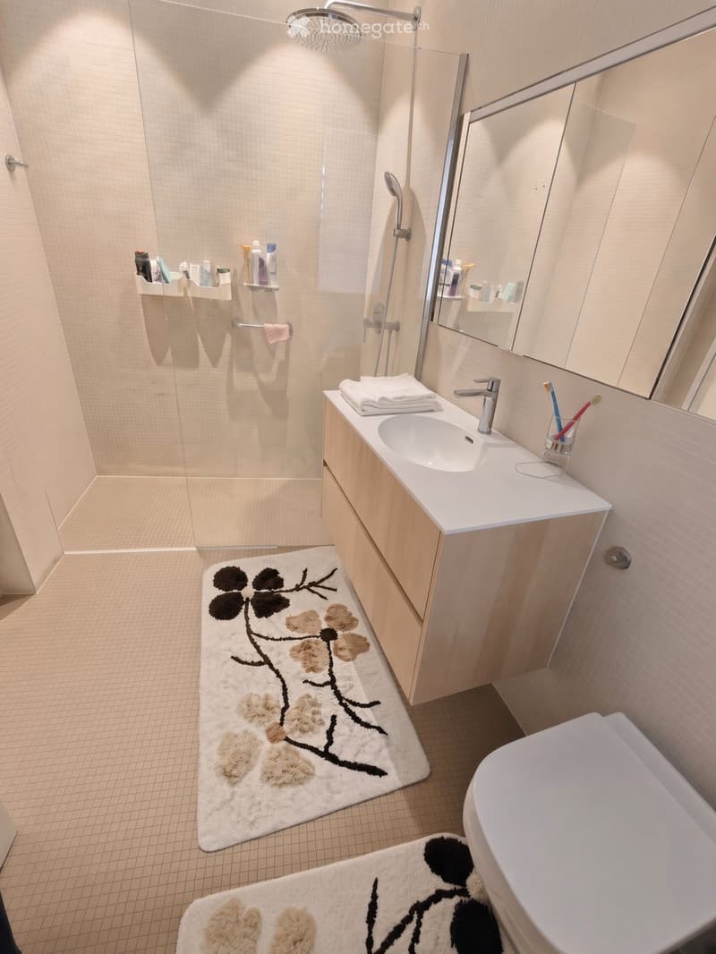 Modern bathroom with a white sink, mirror, toilet, and shower area. Features a wooden cabinet, a white towel, and a decorative rug with a floral design.