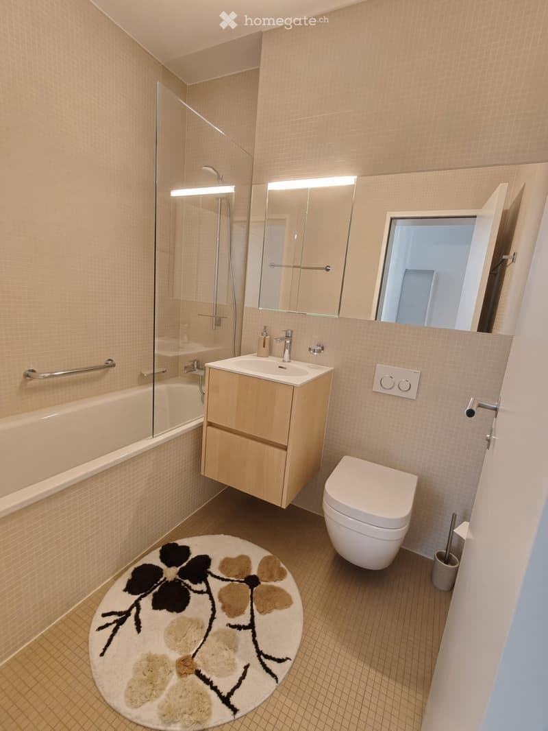 Modern bathroom with a bathtub, sink, toilet, mirror, and a glass-enclosed shower. Features a decorative rug on the floor and a sleek, contemporary design.