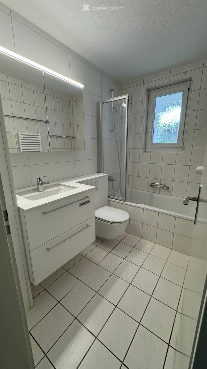 Modern bathroom with white tiles, a sink, toilet, bathtub, and a shower area with a glass door. Features a large mirror and a radiator.