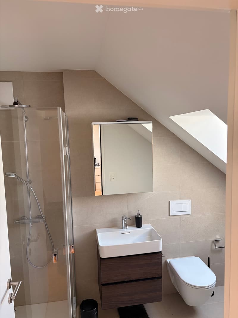 Modern bathroom with a white sink, dark wooden cabinet, mirror, toilet, and a glass-enclosed shower area. Features a skylight window and sleek fixtures.