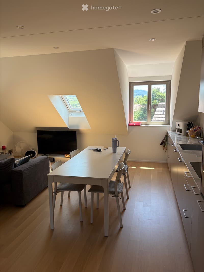Bright, open room with wooden flooring, a large window, and skylight. Features a sofa, dining table with chairs, television, and a small kitchen area with cabinets and appliances.