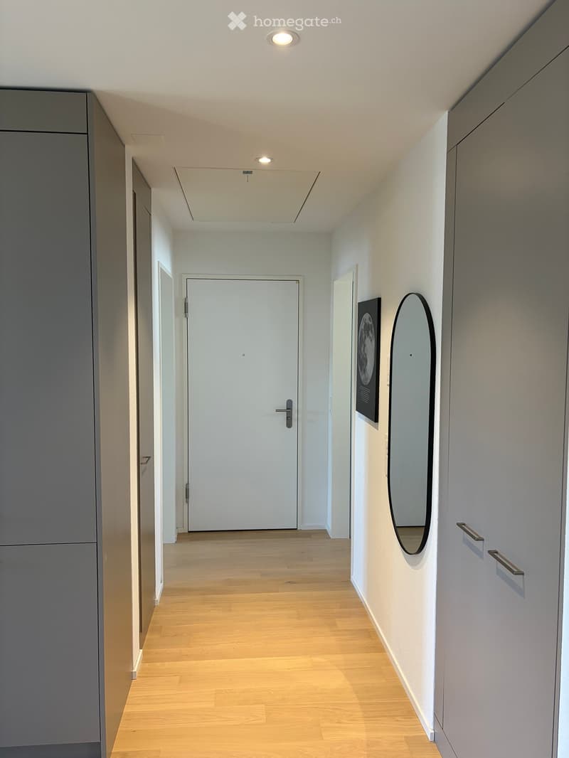 Modern hallway with light wooden flooring, white walls, and recessed ceiling lighting. Features a closed door at the end, a large oval mirror on the right wall, and built-in storage units with silver handles.