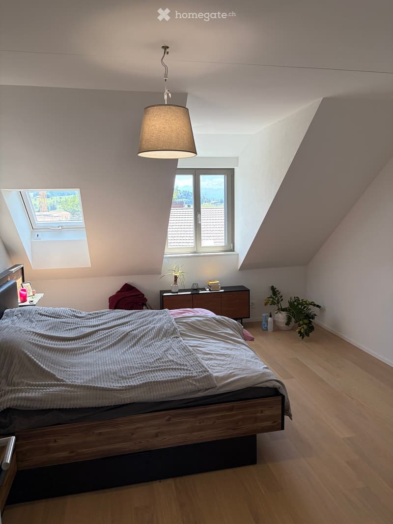Bright, modern bedroom with wooden floors, large windows, and skylights. Features a wooden bed with a grey blanket, a nightstand with a lamp, a cabinet with books, and potted plants.