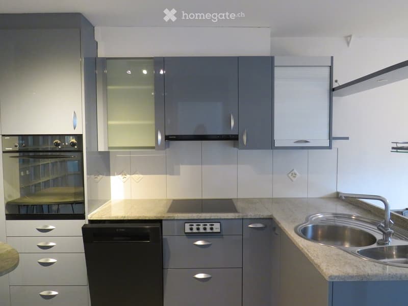 Modern kitchen with grey cabinets, stainless steel sink, oven, dishwasher, and built-in stovetop.