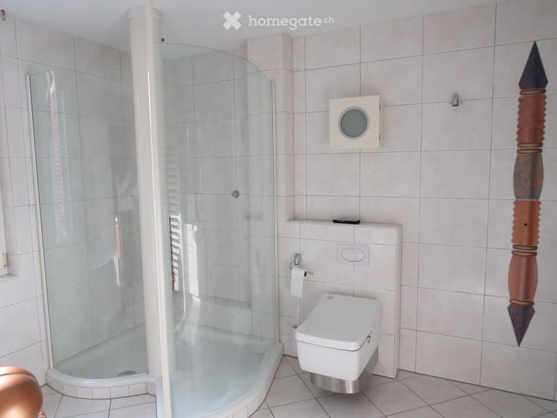 Modern bathroom with a white toilet, glass-enclosed shower, and a decorative sculpture on the wall.
