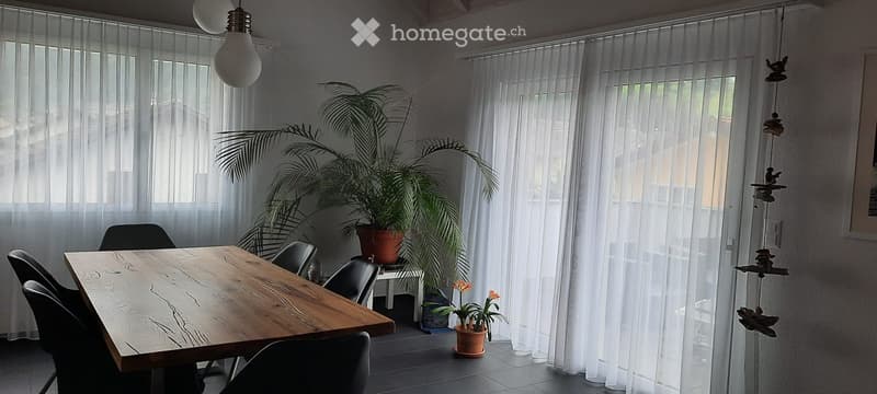 Bright room with large windows covered by sheer white curtains, a wooden dining table surrounded by black chairs, a large potted plant, and a hanging decorative bird mobile.