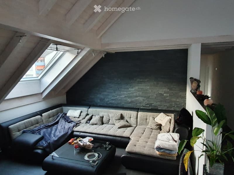 Modern living room with a sectional sofa, coffee table, and large windows with skylights. The room features a mix of leather and fabric upholstery on the sofa, and a decorative plant adds a touch of greenery.
