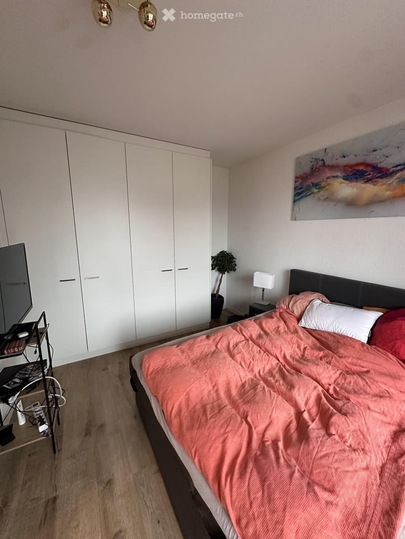 Modern bedroom with a large bed, pink bedding, white closet, nightstand with lamp, and a small plant in the corner.
