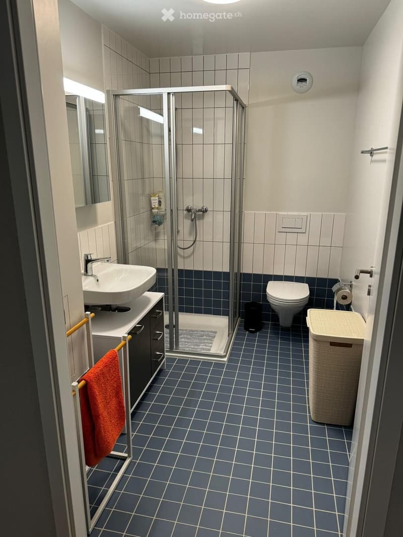 Modern bathroom with blue tiled floor, white walls, shower stall, sink, toilet, and a wicker basket on the floor.
