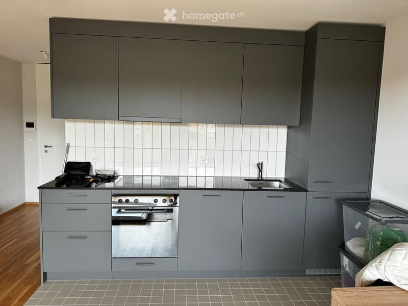 Modern kitchen with grey cabinets, stainless steel oven, sink, and faucet. Wooden flooring and tiled backsplash.