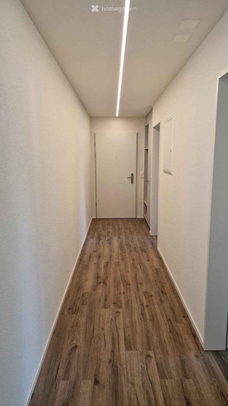 Clean, modern hallway with wooden flooring, white walls, and recessed lighting. Features a closed door at the end and built-in shelving on the right side.