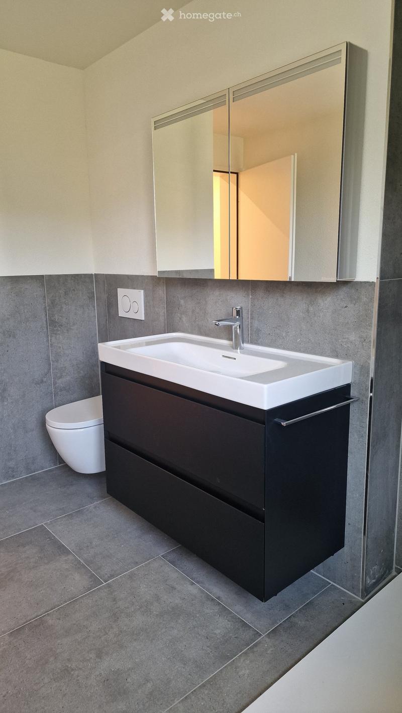 Modern bathroom with a white sink, dark wooden cabinet, chrome faucet, and a large mirror above the sink. Grey tiled walls and floor, with a white toilet visible in the background.