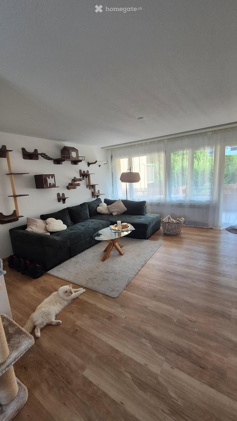 Modern living room with dark green sectional sofa, glass coffee table, cat tree, and a white cat resting on the floor.