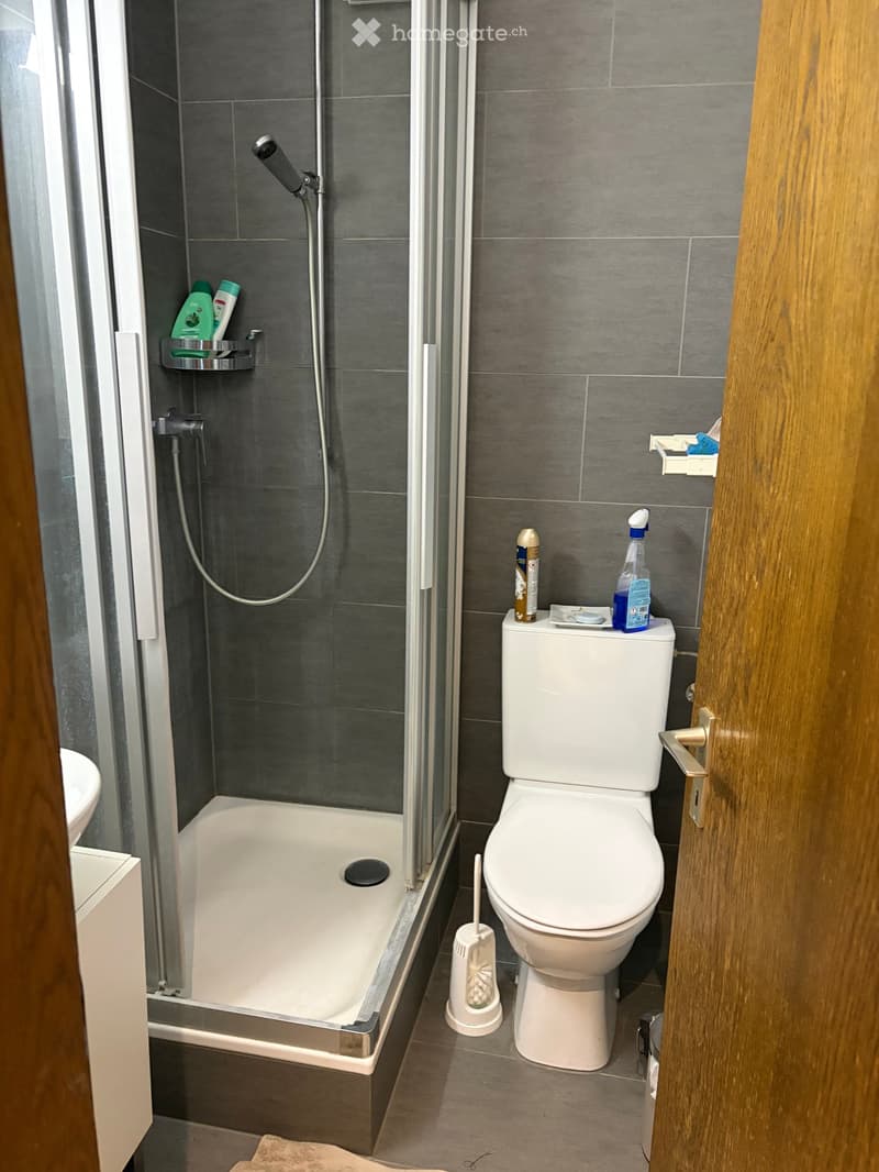 Modern bathroom with a white toilet, a shower with a glass enclosure, a bathtub, and a toilet brush holder. Cleaning supplies are placed on the toilet tank.