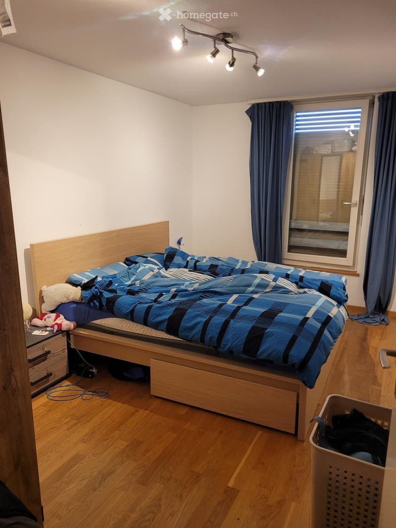 Cozy bedroom with wooden flooring, a large bed with blue and black checkered bedding, bedside table, and a window with blue curtains.