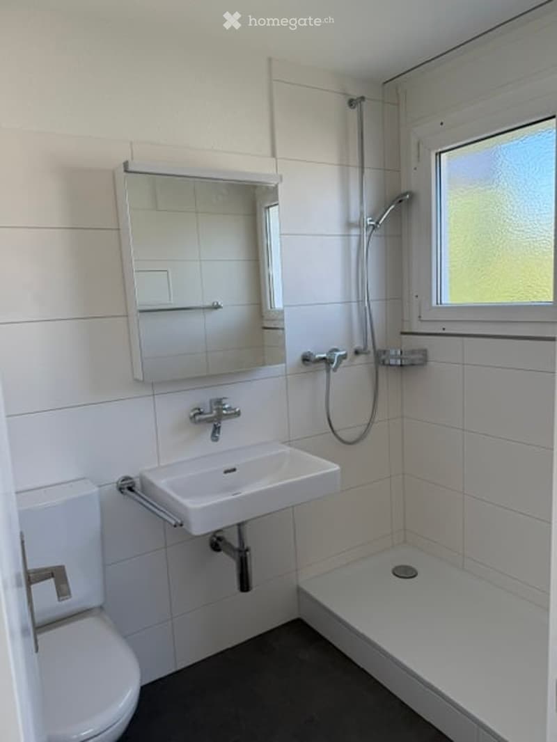 Modern bathroom with white tiles, a sink, mirror, toilet, and a shower area with a glass enclosure.