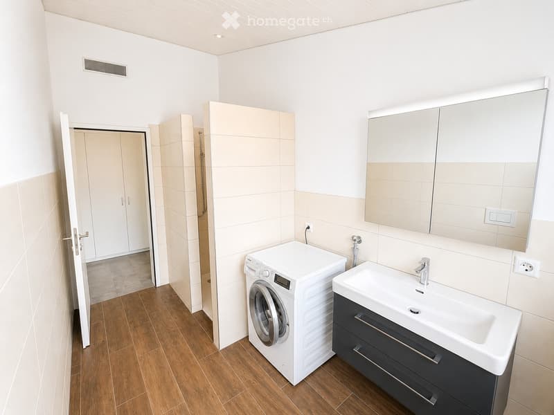 Modern bathroom with a white sink, mirror cabinet, and a private washing machine. The room features light-colored tiles and wooden flooring.