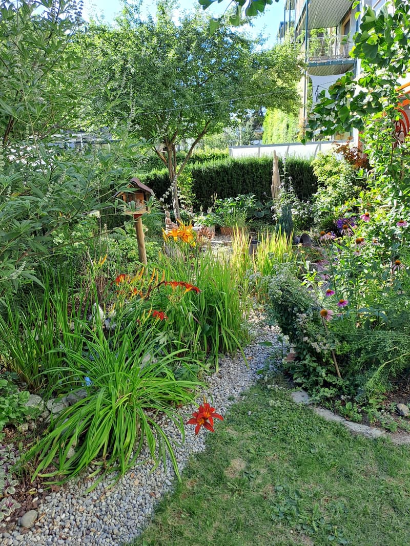 A well-maintained garden with a variety of plants, flowers, and shrubs arranged in a pathway lined with pebbles. The garden features tall grasses, colorful flowers, and a small birdhouse on a wooden post.