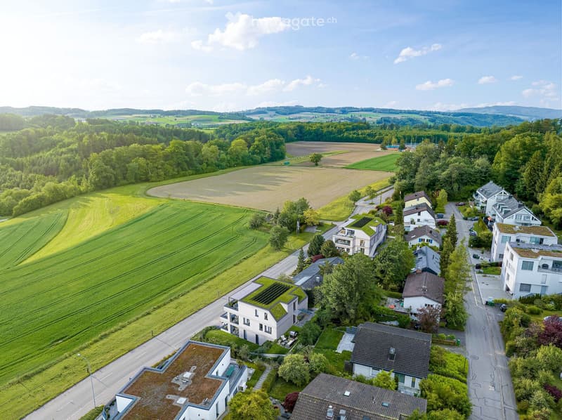 Aerial view of a suburban neighborhood with multiple houses, green fields, and trees.