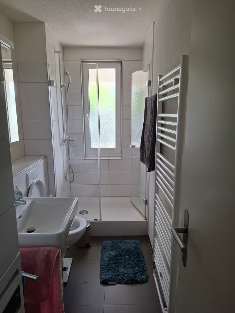 Modern bathroom with a sink, toilet, shower, radiator, and towels.