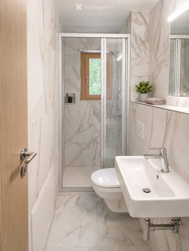 Modern bathroom with marble tiles, a glass-enclosed shower, a white sink with a modern faucet, a toilet, and a small plant on the counter.
