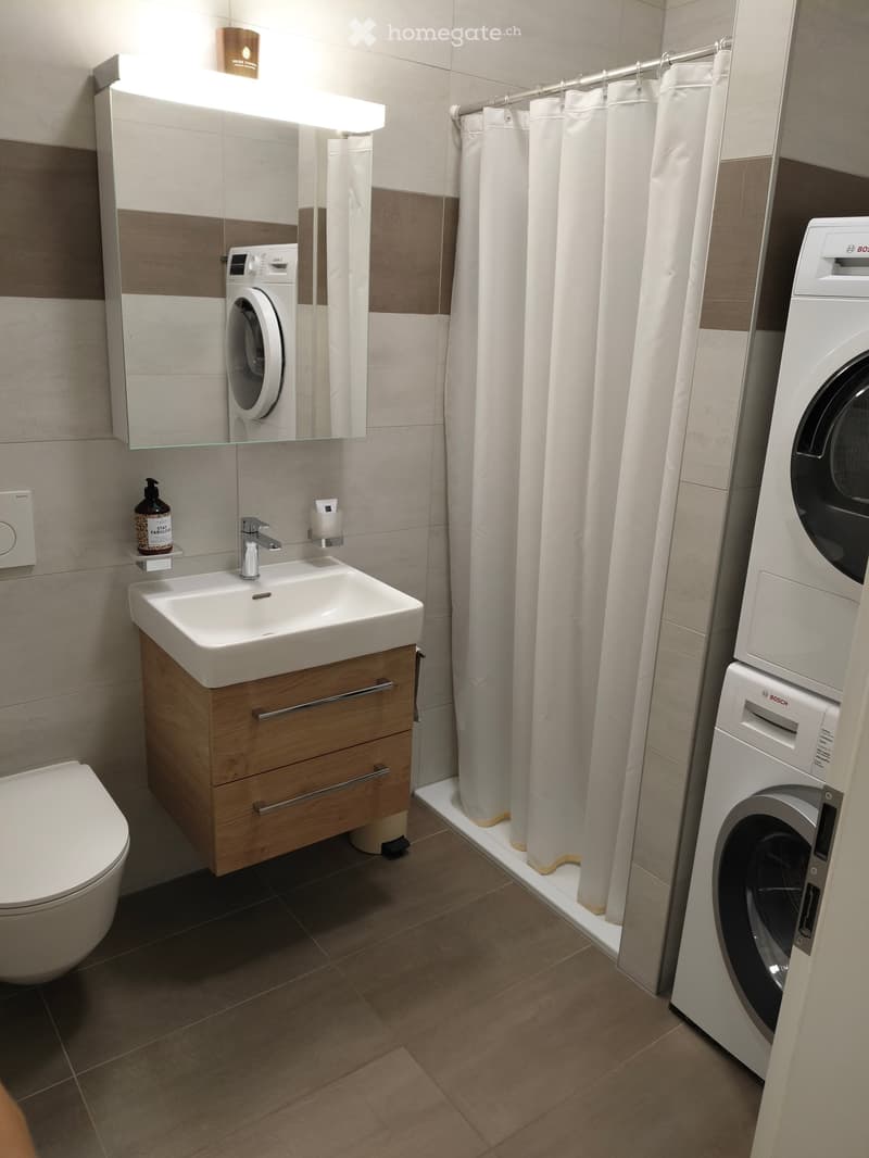 Modern bathroom with a toilet, sink, mirror, and washing machine. Features a shower area with a curtain and a wooden vanity with a sink and faucet.