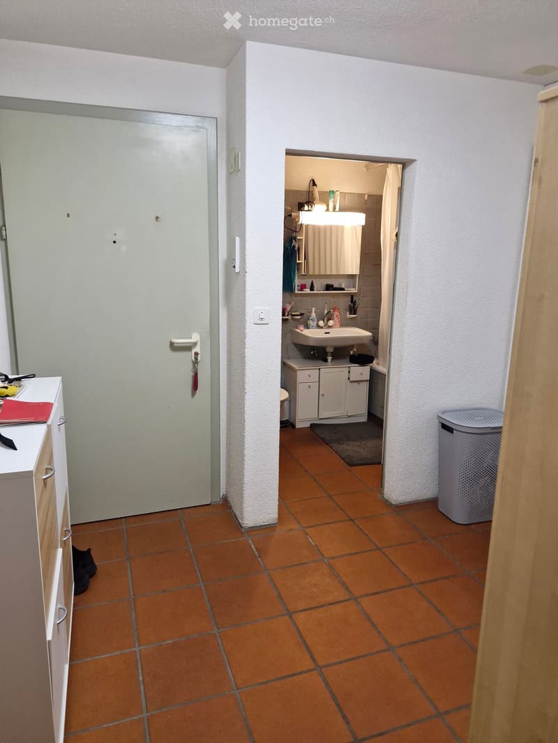 Bathroom with terracotta tiles, white cabinet, sink, mirror, and a small laundry basket. A cat is visible near the cabinet.