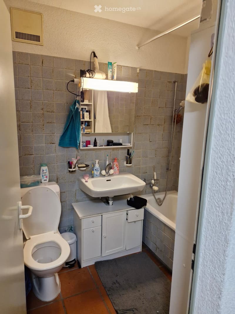 Bathroom with a toilet, sink, bathtub, mirror, cabinet, and various toiletries. Features tiled walls, a grey bath mat, and a hair dryer on the shelf.