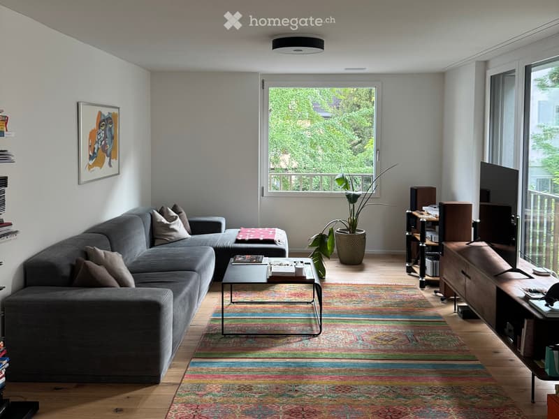 Modern living room with a grey sectional sofa, coffee table, ottoman, floor lamp, TV, and a colorful rug.