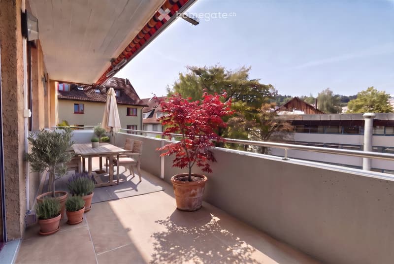 Balcony with a table, chairs, umbrella, and several potted plants, overlooking a residential area with trees and houses.