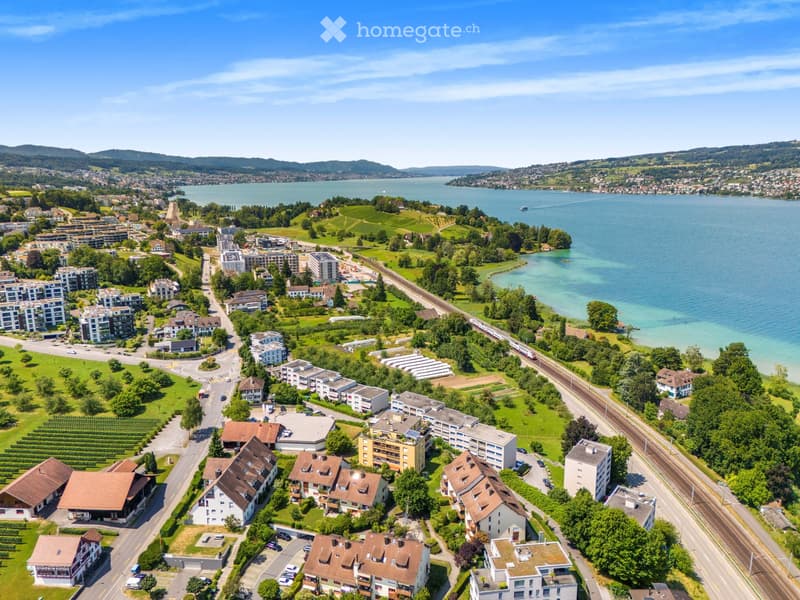 Aerial view of a town with residential houses, apartment buildings, green spaces, and a large lake in the background.