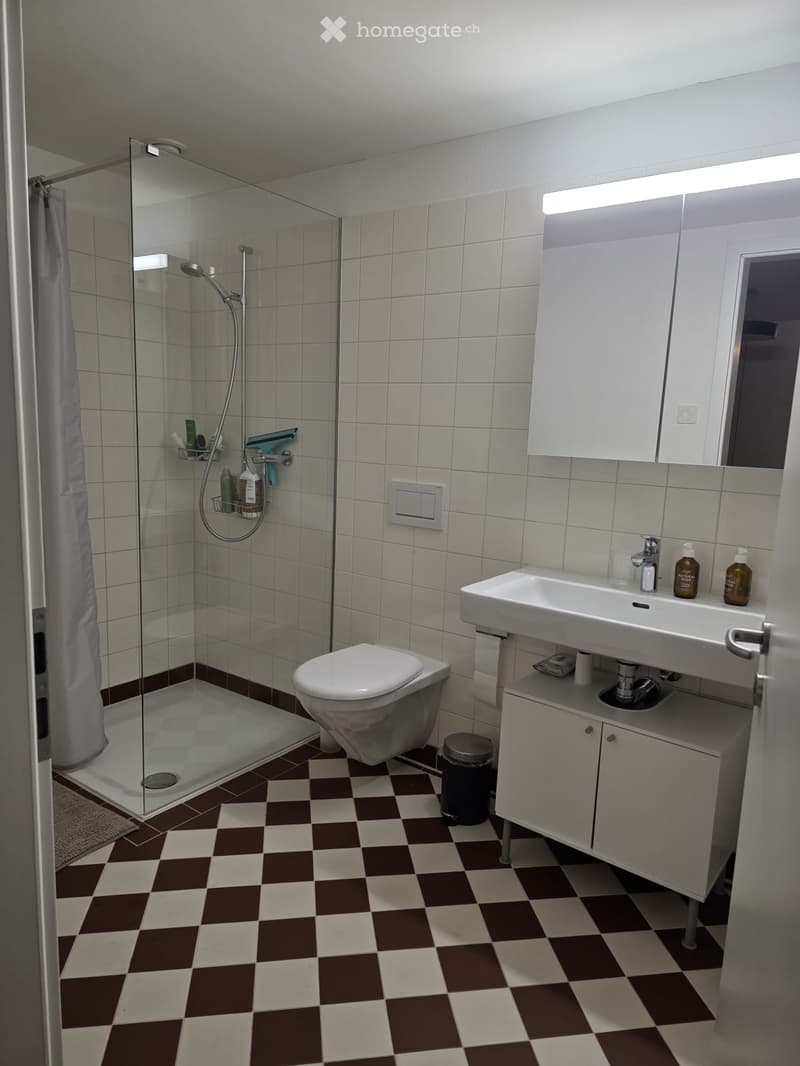 Modern bathroom with checkered floor, white tiles, glass-enclosed shower, toilet, sink with mirror, and storage cabinet.