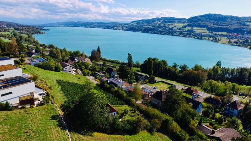Aerial view of a residential area with houses, trees, and a large lake in the background.