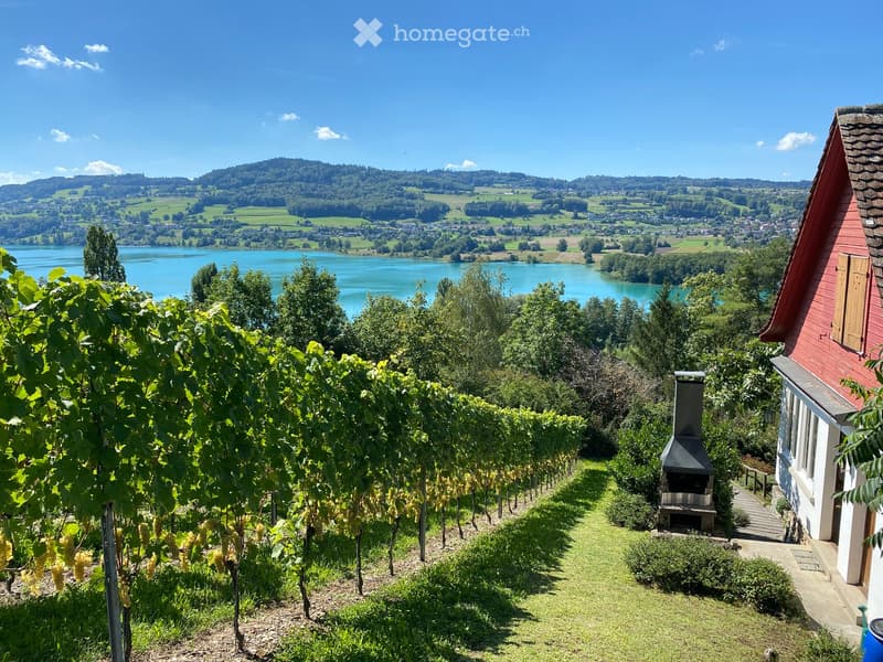 A vineyard with rows of grapevines, a house with a red roof, a barbecue, and a scenic view of a lake and mountains in the background.