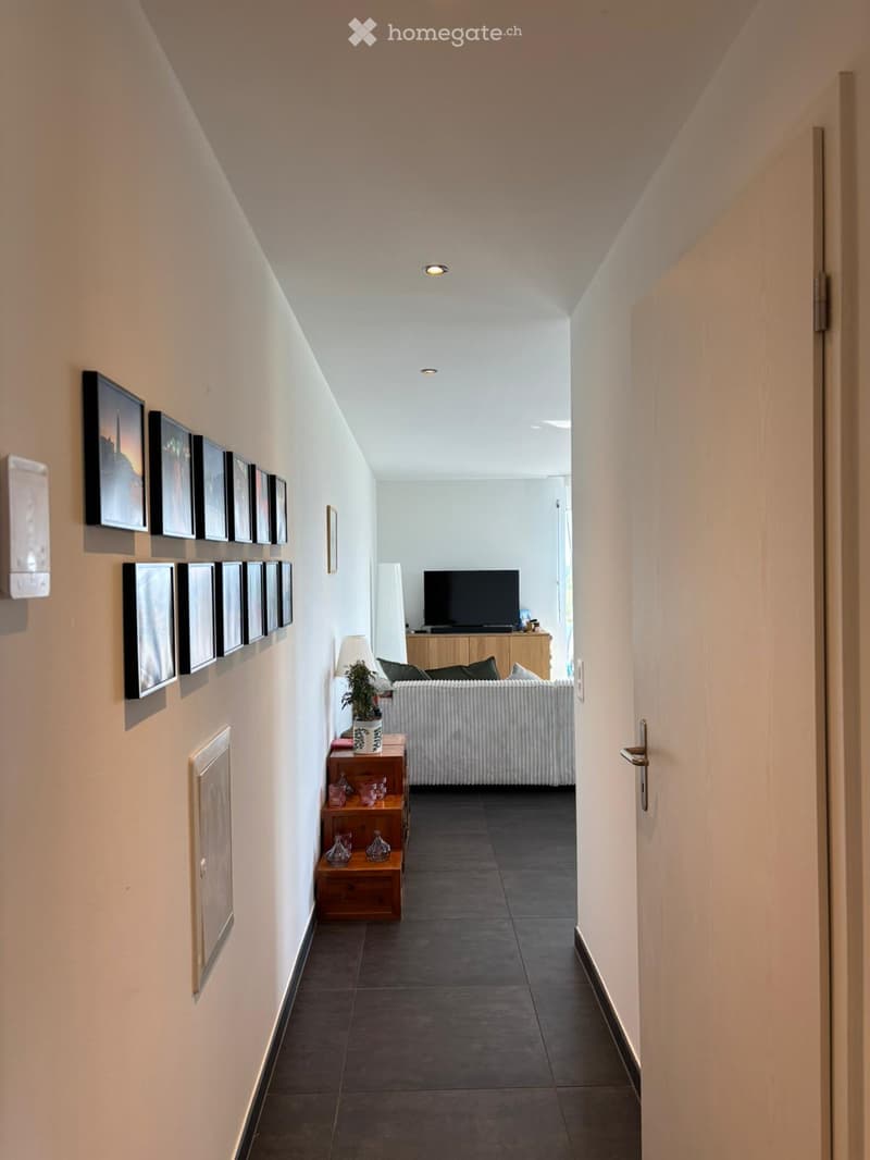 A modern hallway with a sleek design, featuring a dark tiled floor, white walls, and recessed lighting. A small wooden side table with decorative items and a potted plant is placed near a partially visible living room area with a sofa, TV, and additional