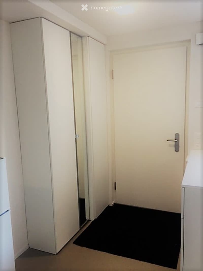 A narrow hallway with white walls, a closed door, a tall white wardrobe with mirrored doors, and a small black rug on the floor.
