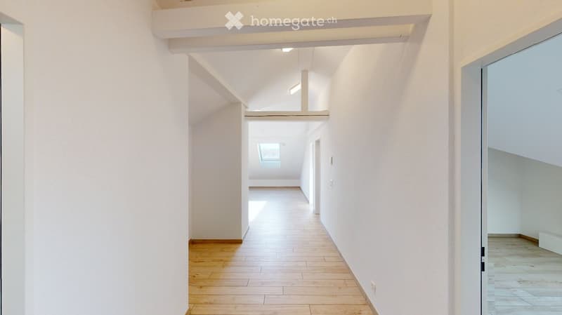 Bright, minimalist hallway with wooden flooring, white walls, and recessed lighting. Features a raised platform and a skylight at the end.
