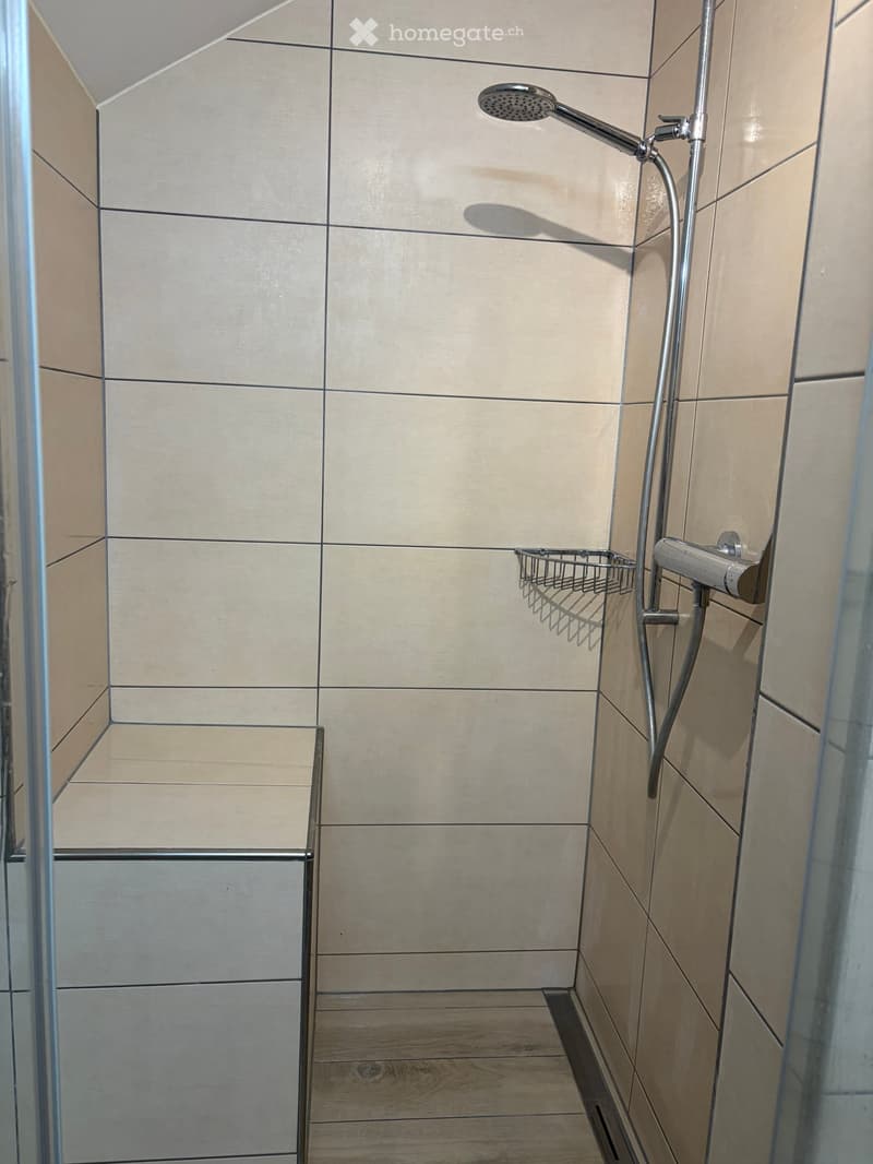 Modern shower area with beige tiled walls, wooden floor, and a handheld showerhead on a rail. Includes a small metal shelf for toiletries.