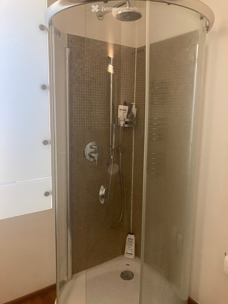 Modern shower with glass enclosure, tiled walls, and a built-in shelf holding toiletries.