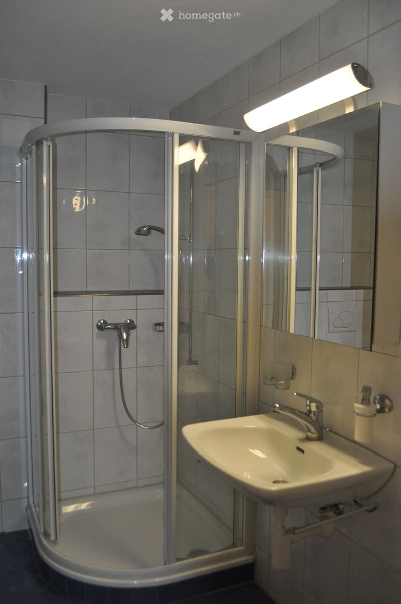 Modern bathroom with a white sink, chrome faucet, large mirror, and a glass-enclosed shower with a handheld showerhead.
