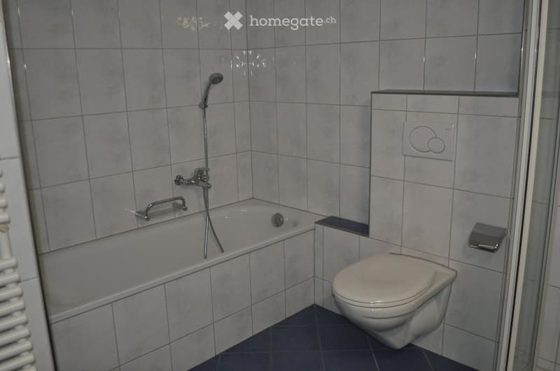 Bathroom with a bathtub, toilet, showerhead, and handrail. Grey tiled walls and dark tiled floor.