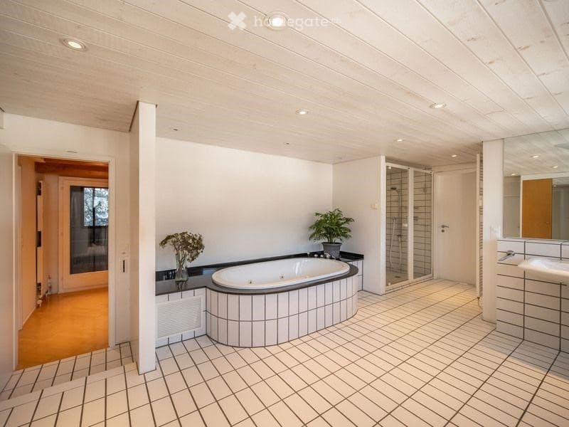 Modern bathroom with a large, freestanding bathtub, a sink with a mirror, a glass-enclosed shower, and decorative vases with plants on the counter.