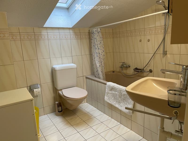 toilet, bathtub, sink, towel, small trash can, skylight