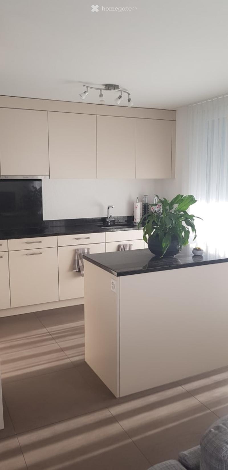 {"visible_features": [], "type": "Kitchen", "objects": ["cabinet", "sink", "faucet", "faucet", "faucet", "faucet", "faucet", "faucet", "faucet", "faucet", "faucet", "faucet", "faucet", "faucet", "faucet", "faucet", "faucet", "faucet", "faucet", "faucet",