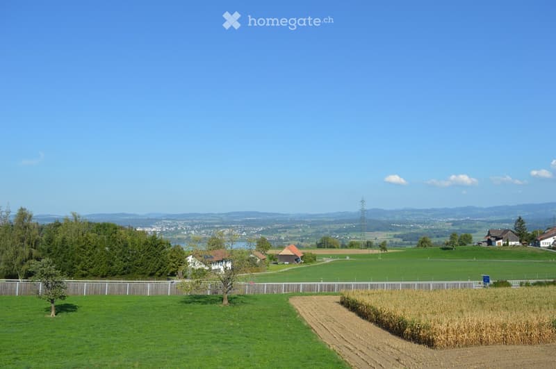 A peaceful rural landscape with green fields, scattered trees, a few houses, and distant mountains under a clear blue sky.