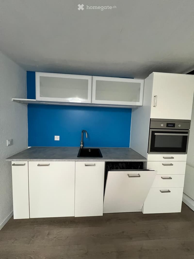 Modern kitchen with white cabinets, a sink, and an oven. The backsplash is painted blue, and the countertop is gray.