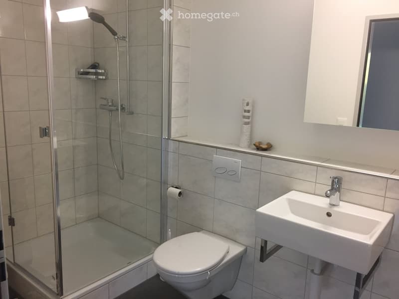 Modern bathroom with a glass-enclosed shower, toilet, sink, and mirror. Features tiled walls and a sleek design.