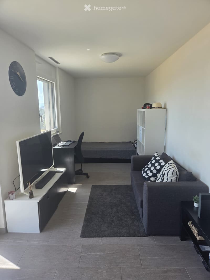 A modern, multi-functional room with a sofa, a laptop desk, a TV screen, and a small bed area.