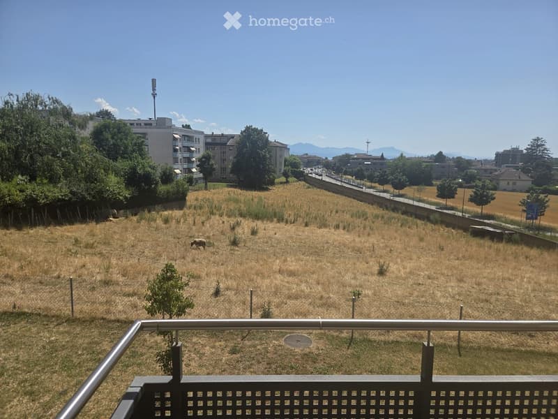Balcony overlooking a grassy field with scattered trees, a cow grazing, and distant buildings and mountains.