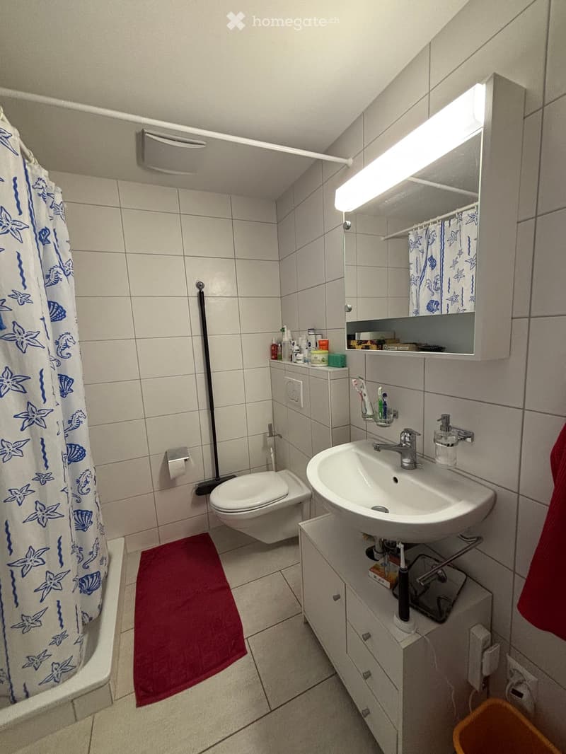Bathroom with white tiles, white sink, white toilet, red rug, shower curtain, mirror, and various toiletries